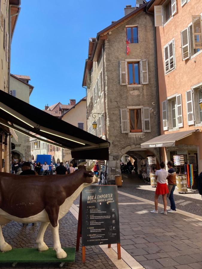 2 Pieces Cosy Appartement Annecy Buitenkant foto